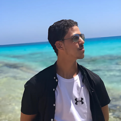 Omar Elshabrawy author photo